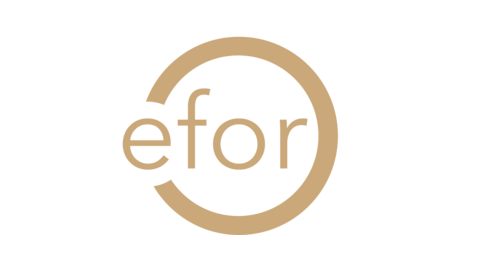 EFOR GROUP