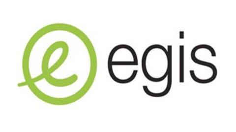 EGIS GROUP IRELAND