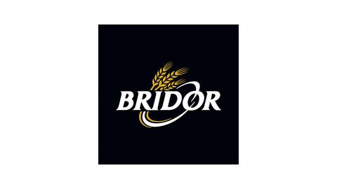 BRIDOR