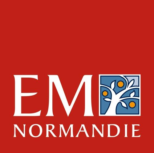 EM NORMANDIE IRELAND LTD